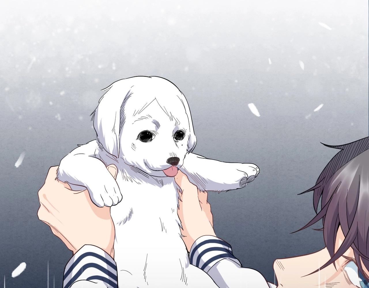 第 115 页