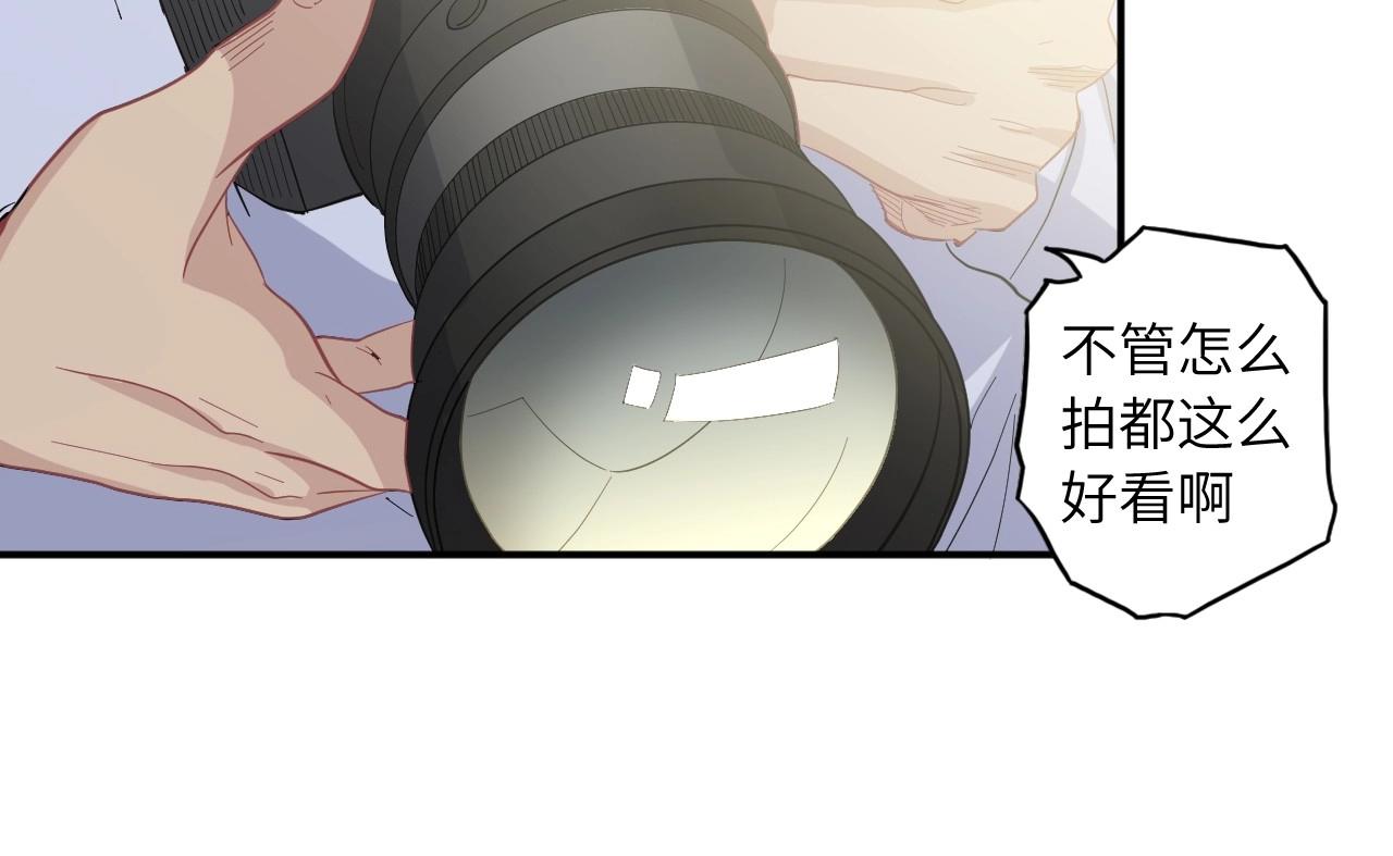 第 117 页
