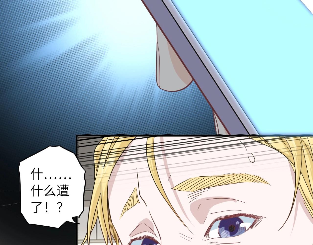 第 113 页