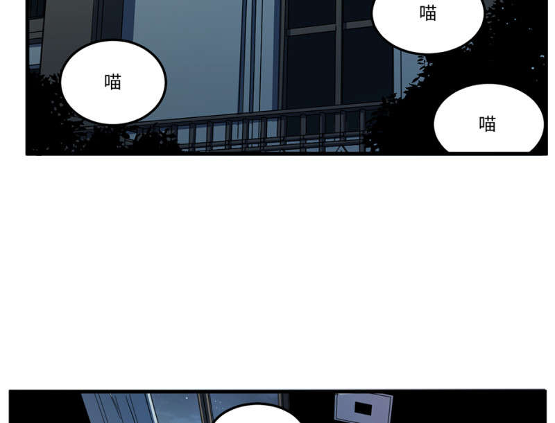 第 78 页