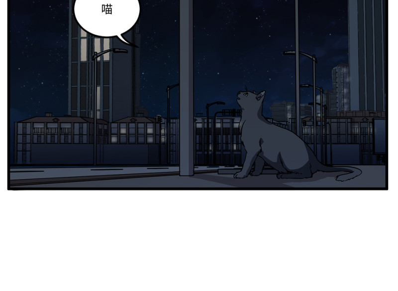 第 84 页