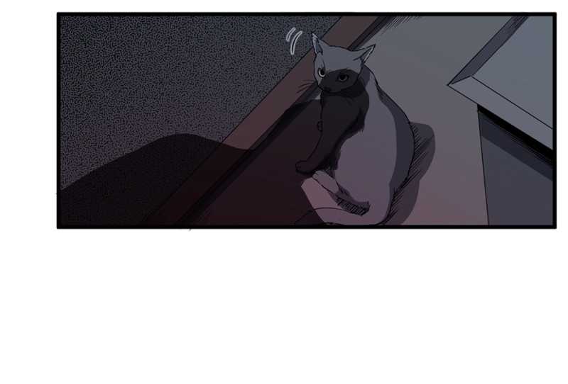 第 85 页