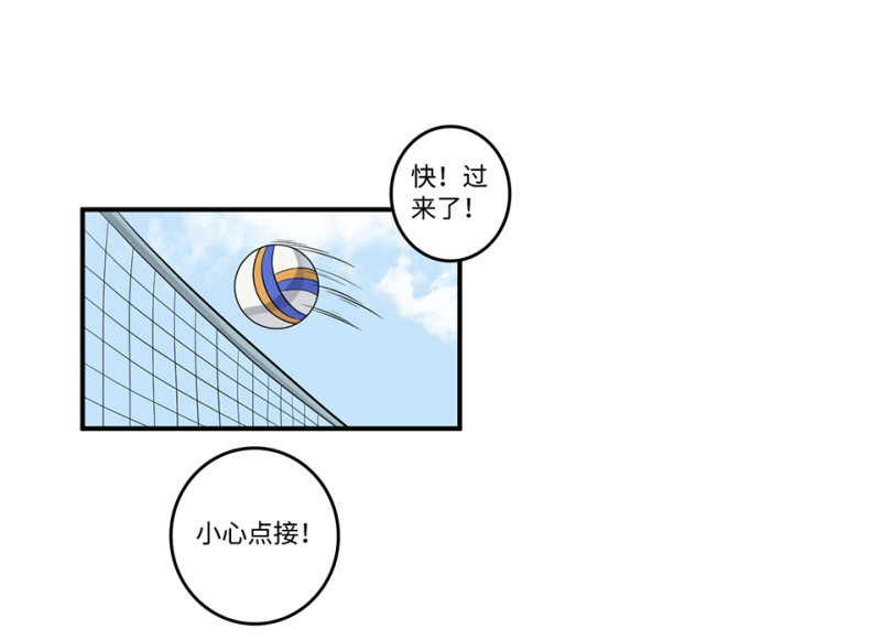 第 66 页