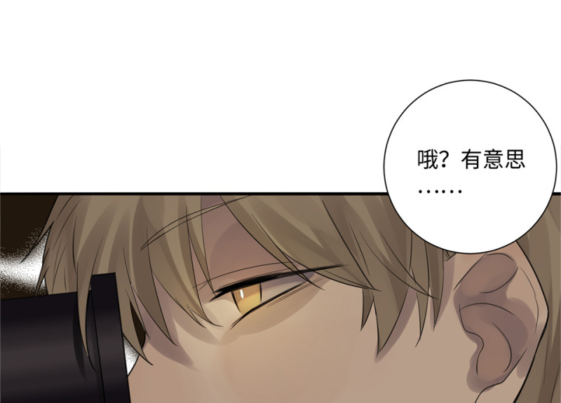 第 146 页