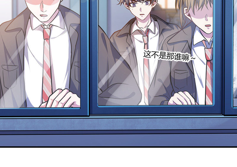 第 113 页