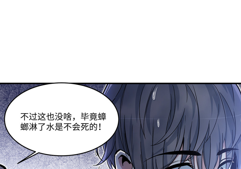 第 50 页