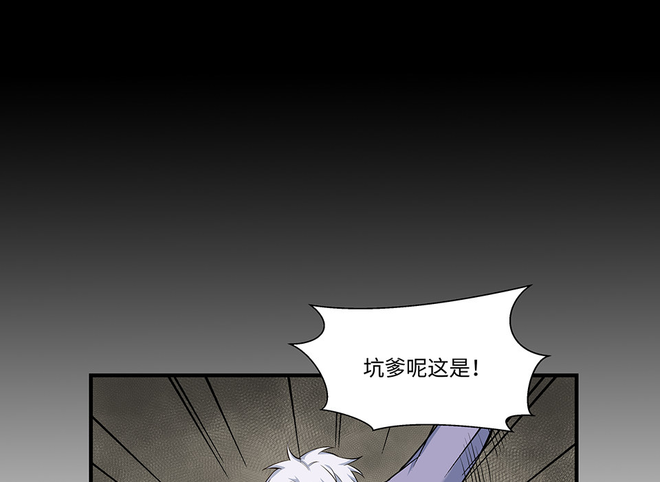 第 117 页
