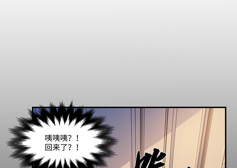 第 196 页