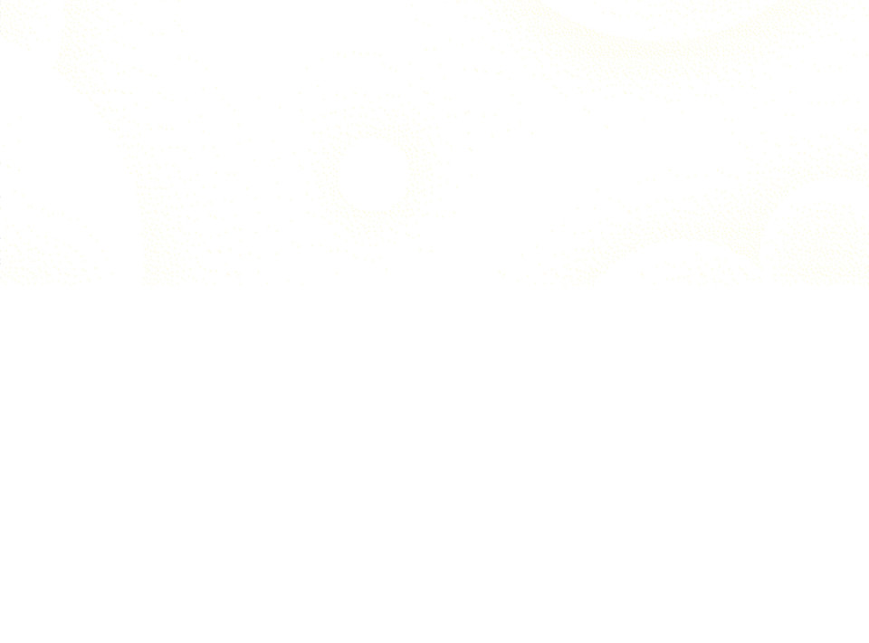 第 273 页