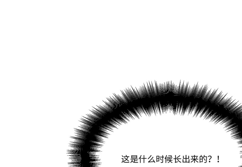 第 115 页