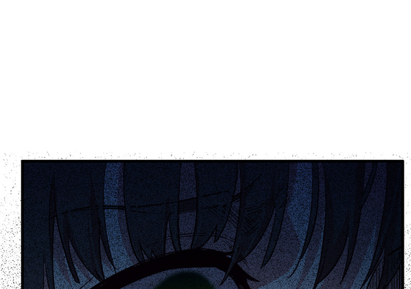 第 135 页