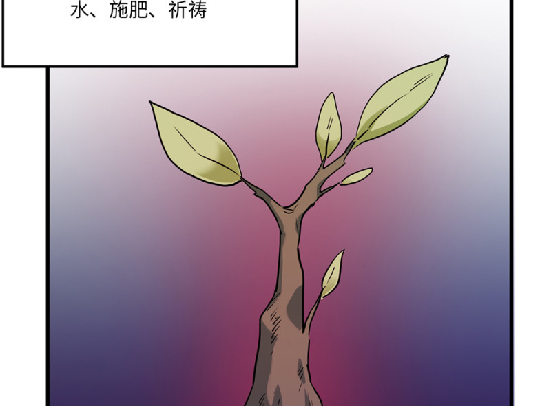 第 86 页