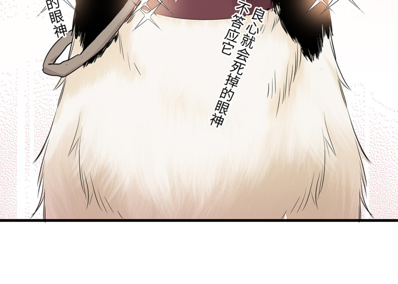 第 144 页