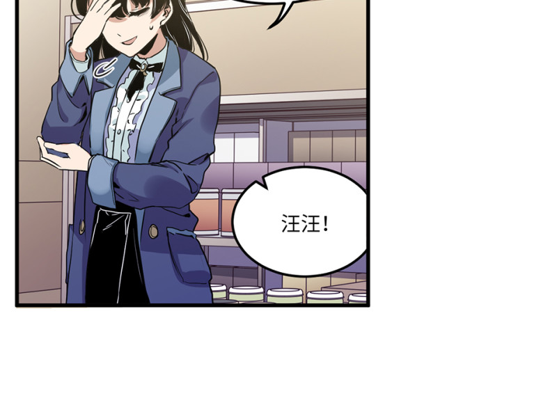 第 146 页