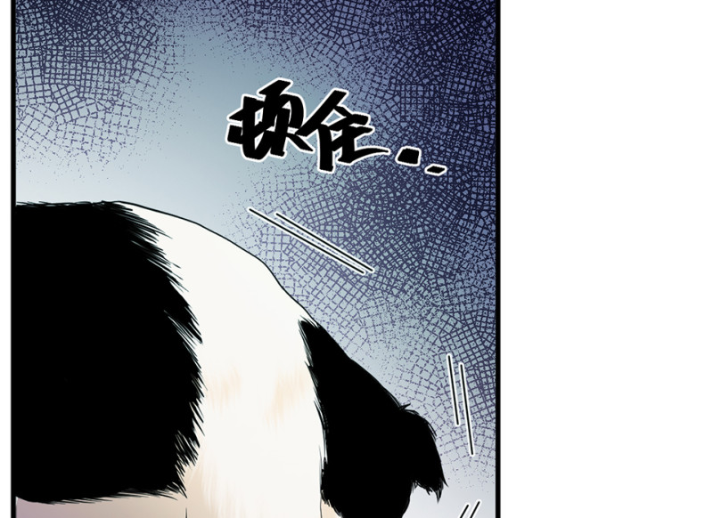 第 160 页