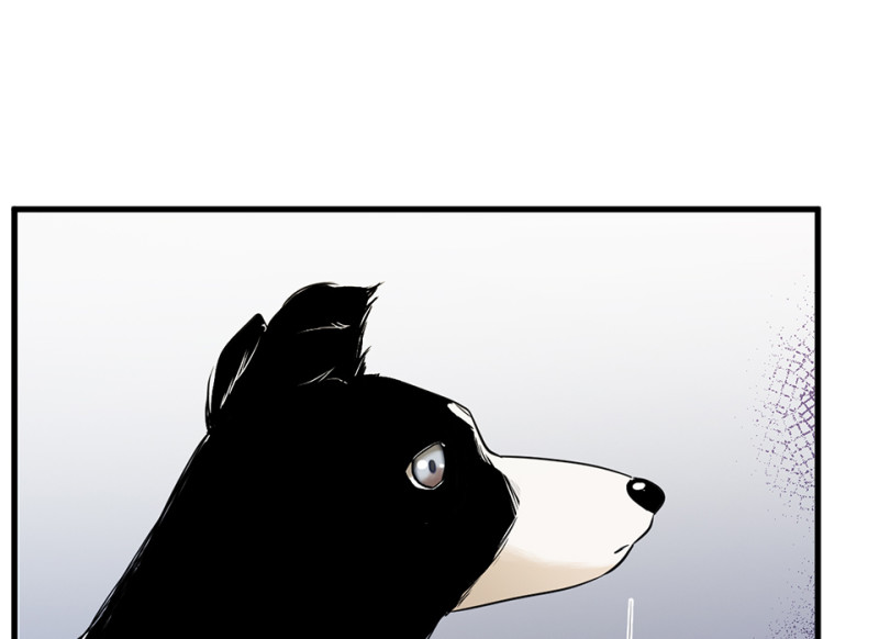 第 162 页