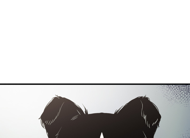 第 164 页