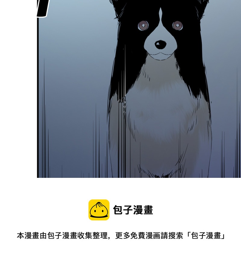 第 181 页