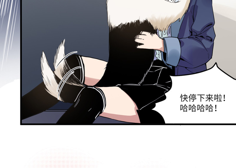 第 53 页