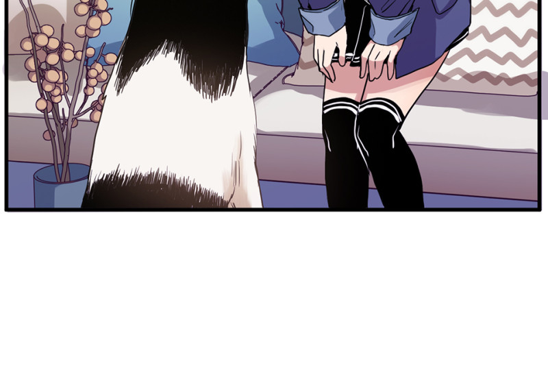 第 82 页
