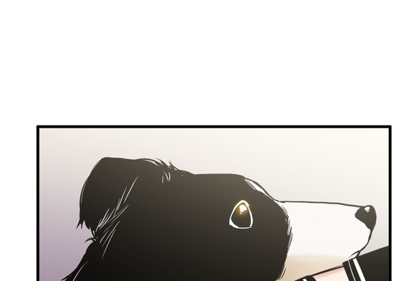 第 85 页