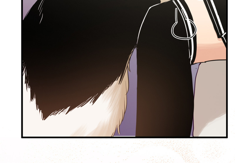 第 86 页