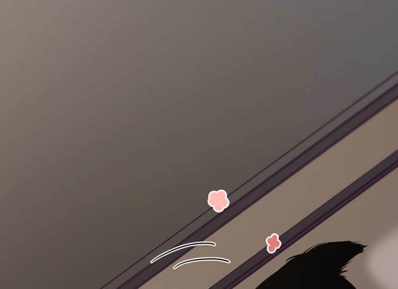 第 97 页
