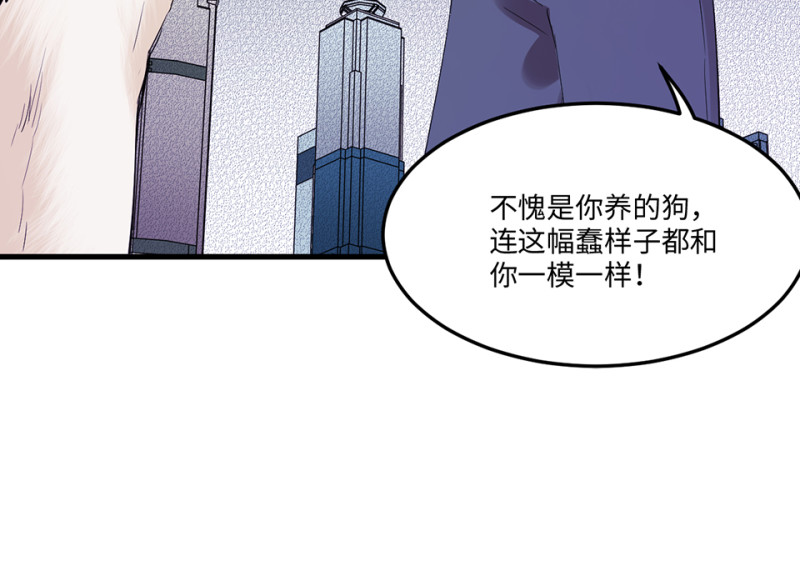 第 102 页