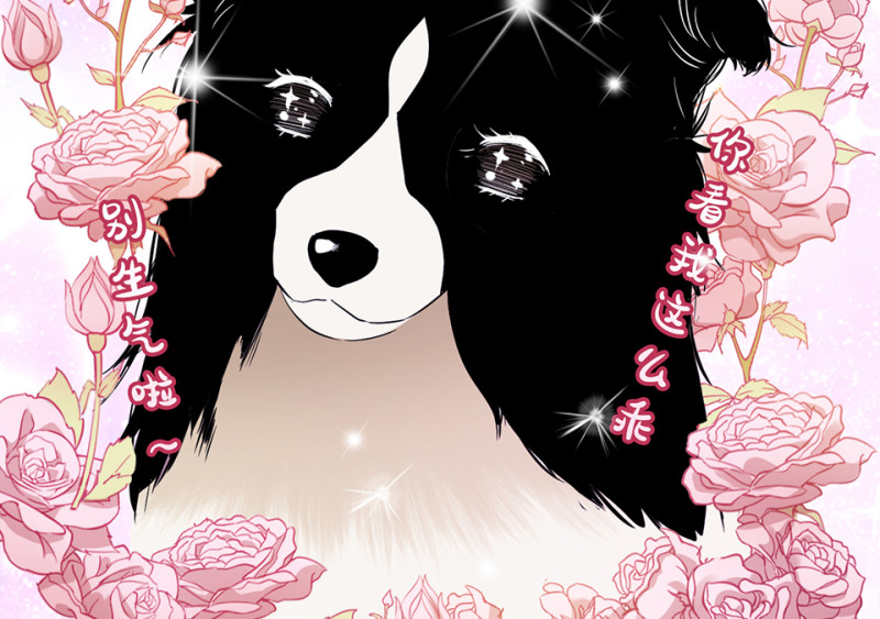 第 43 页