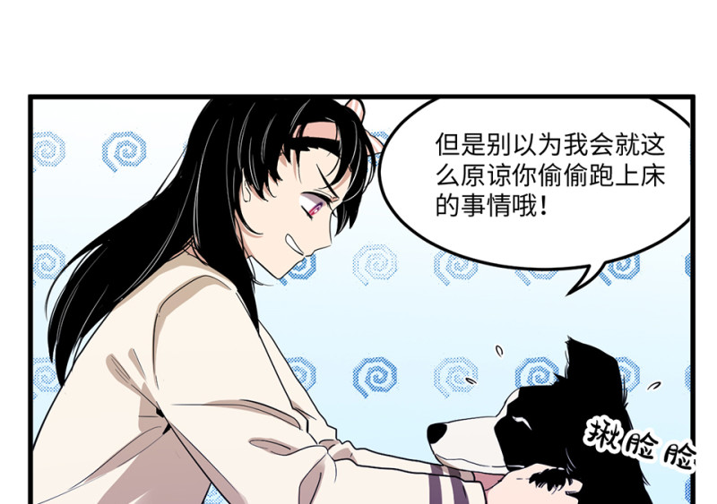 第 48 页
