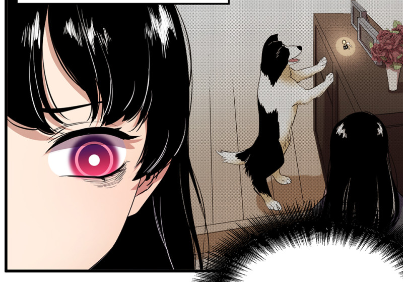 第 79 页