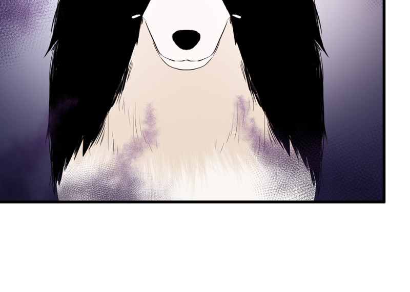 第 98 页