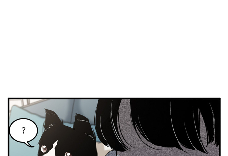 第 114 页