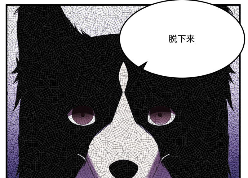 第 119 页