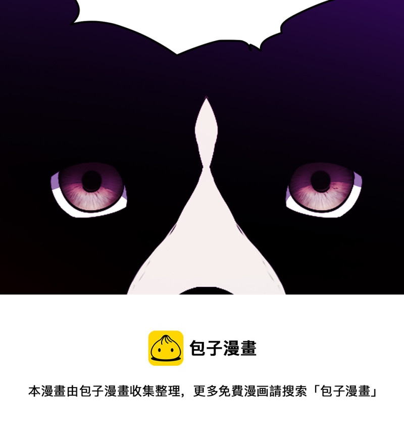 第 141 页