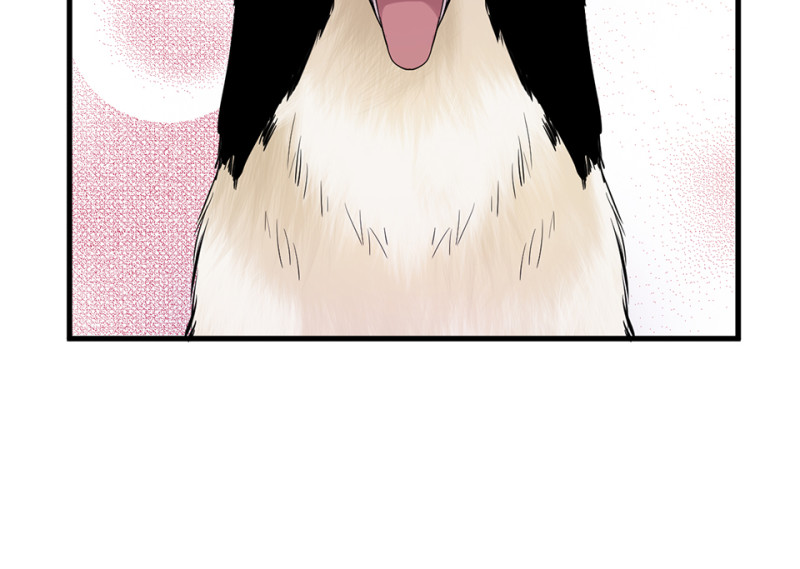 第 64 页