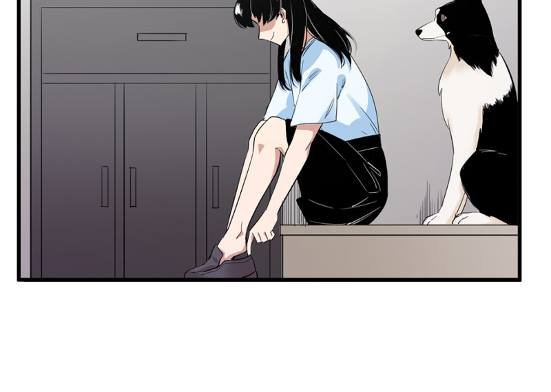 第 66 页