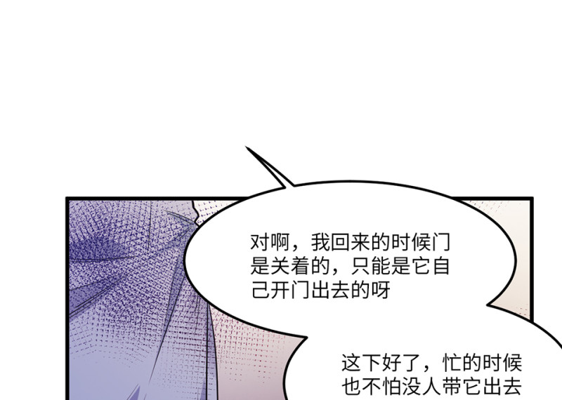 第 115 页