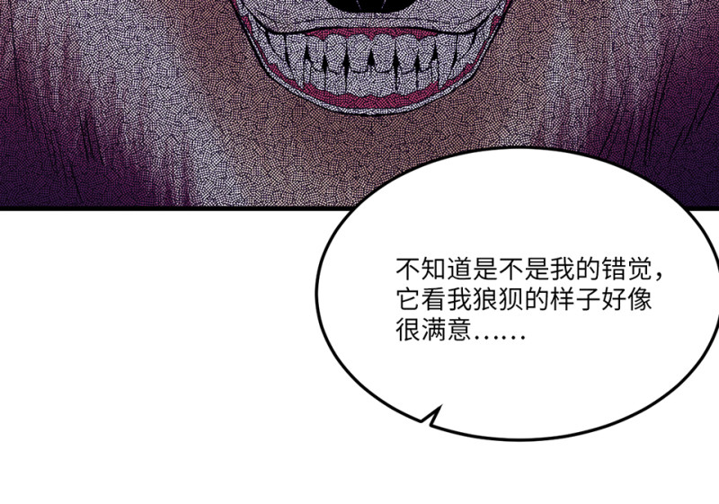第 74 页