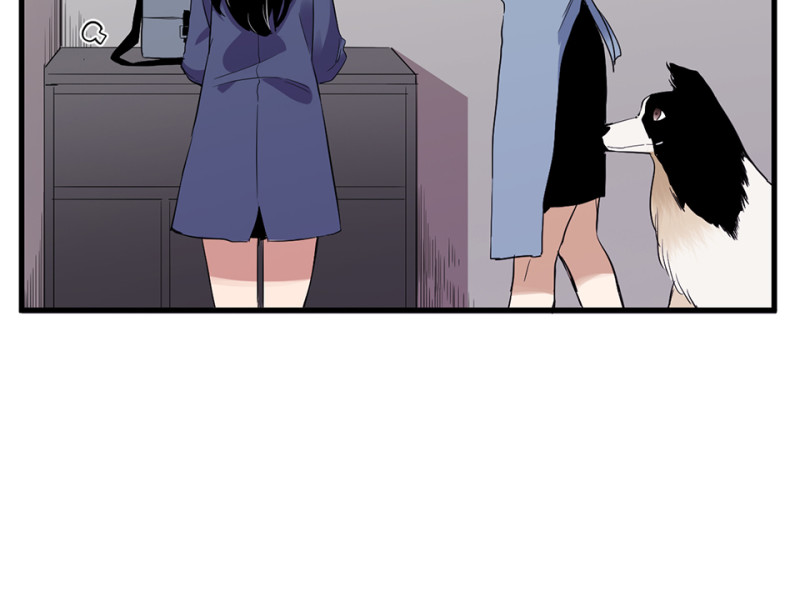 第 97 页