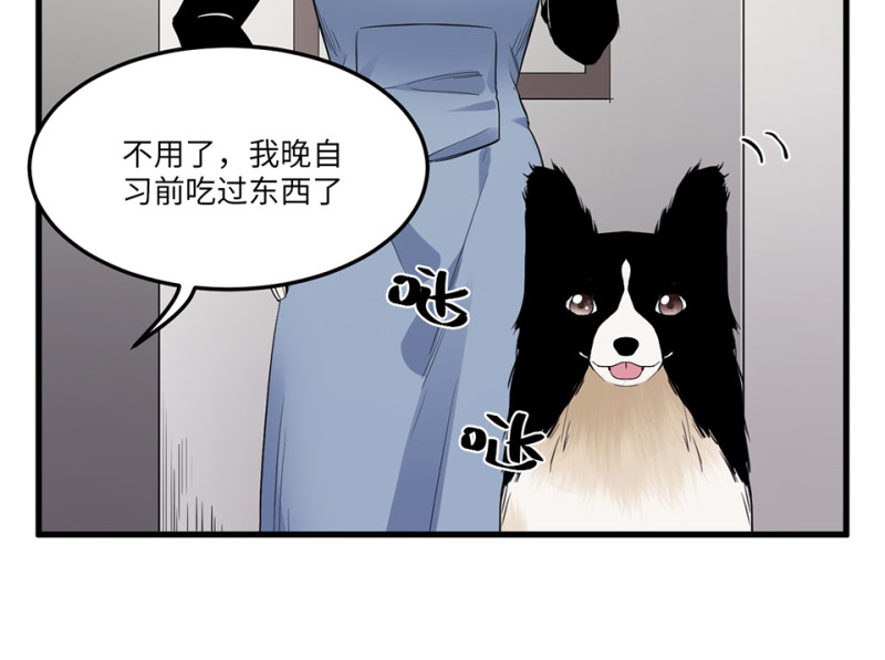 第 99 页