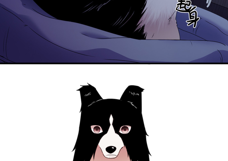 第 109 页