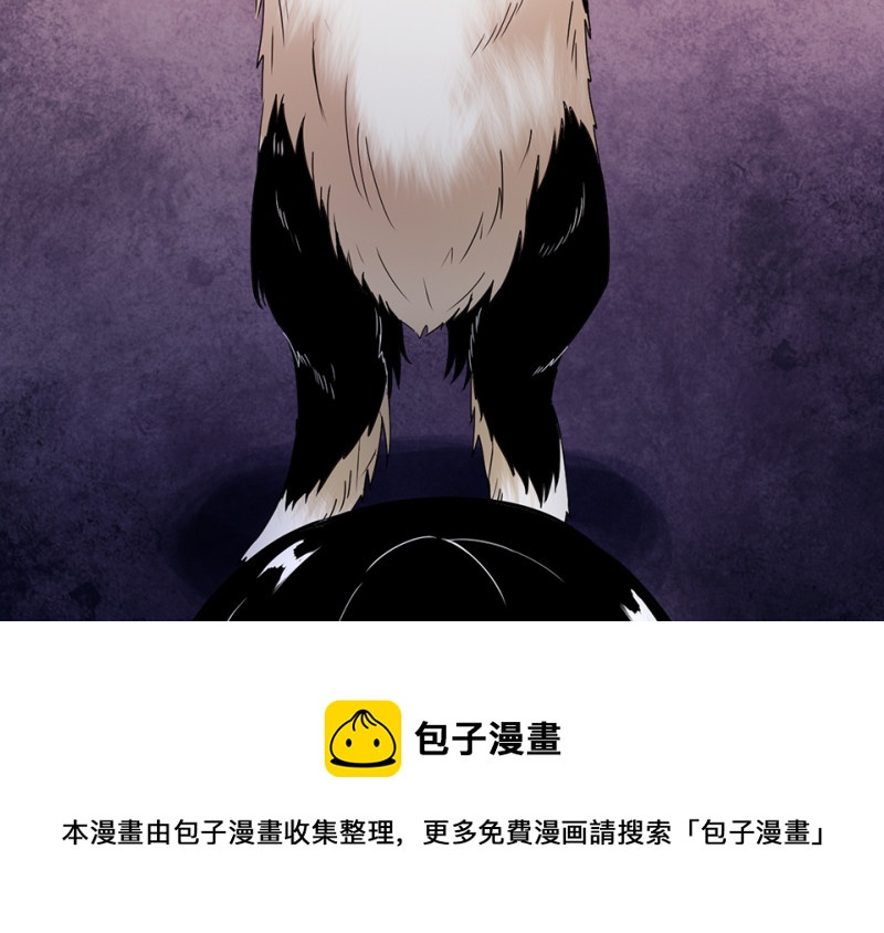 第 111 页