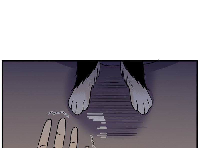 第 127 页