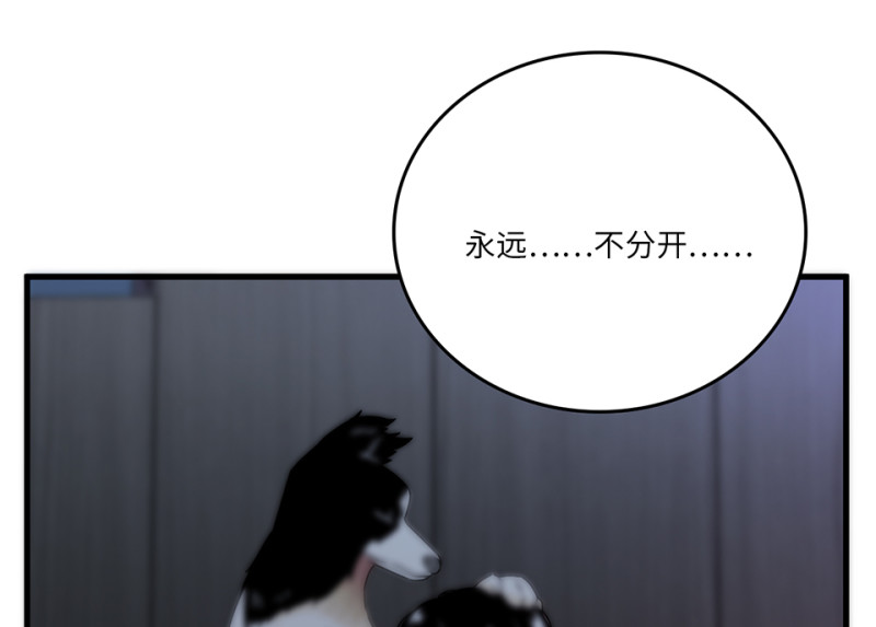 第 155 页
