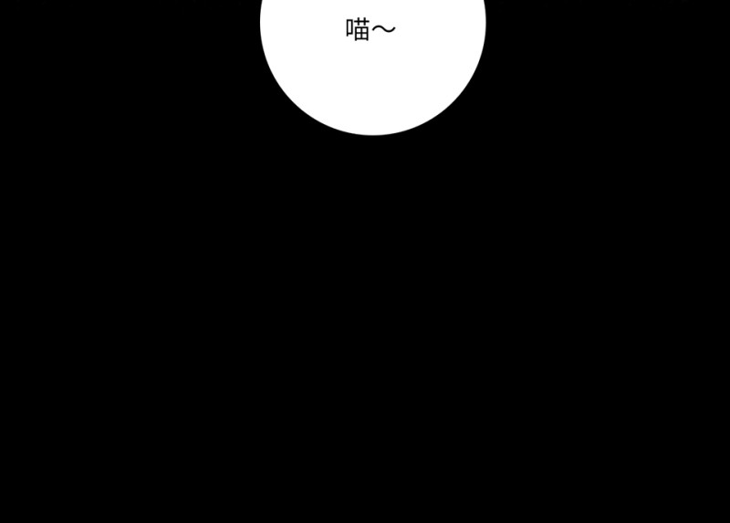 第 164 页