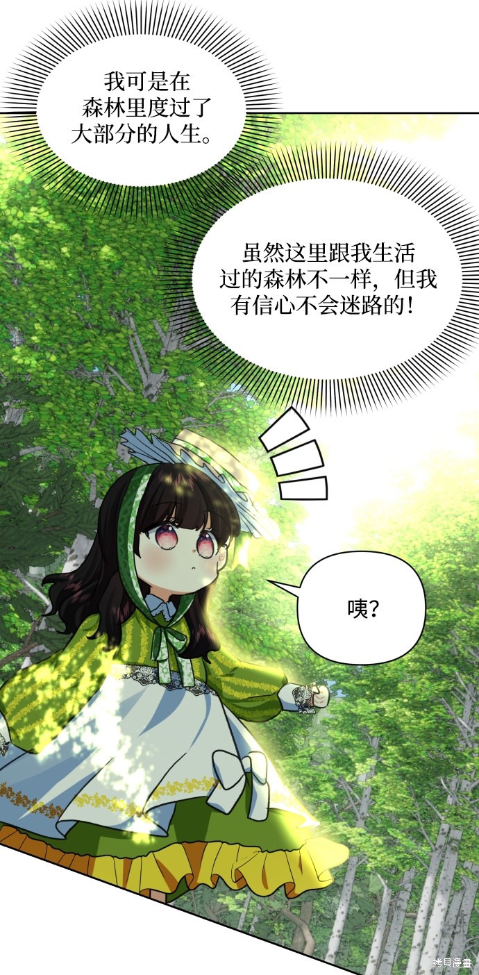 第 52 页