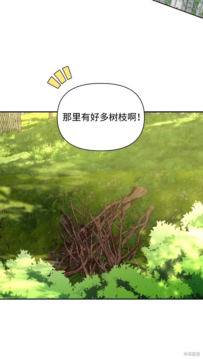 第 53 页