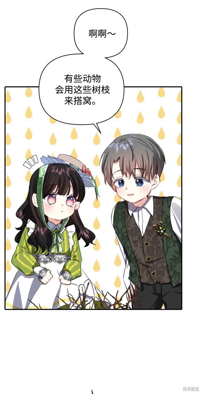 第 54 页
