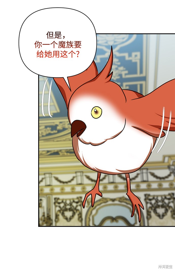 第 51 页